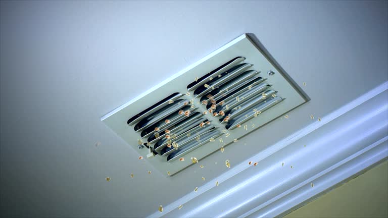 Best Air Duct Sanitizing Services  in Centreville, MD
