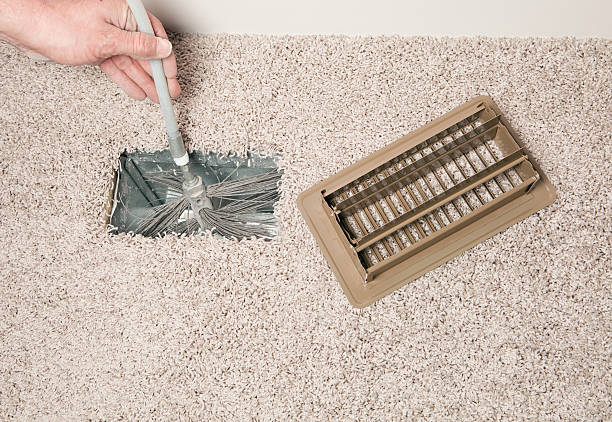 Best Air Duct Mold Removal  in Centreville, MD